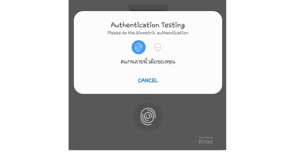 Biometric authentication что это за драйвер